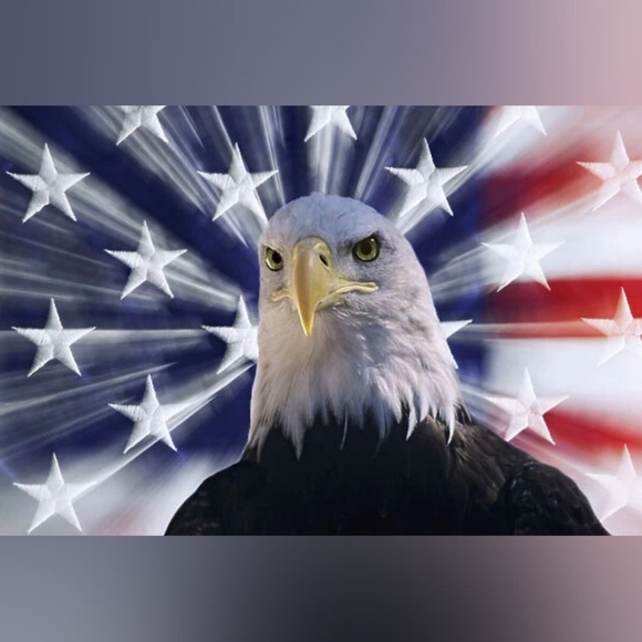 💙 VS Very Sexy Rose Lace & Grommet Crotchless Thong Panty 💙 - Picture 13 of 16